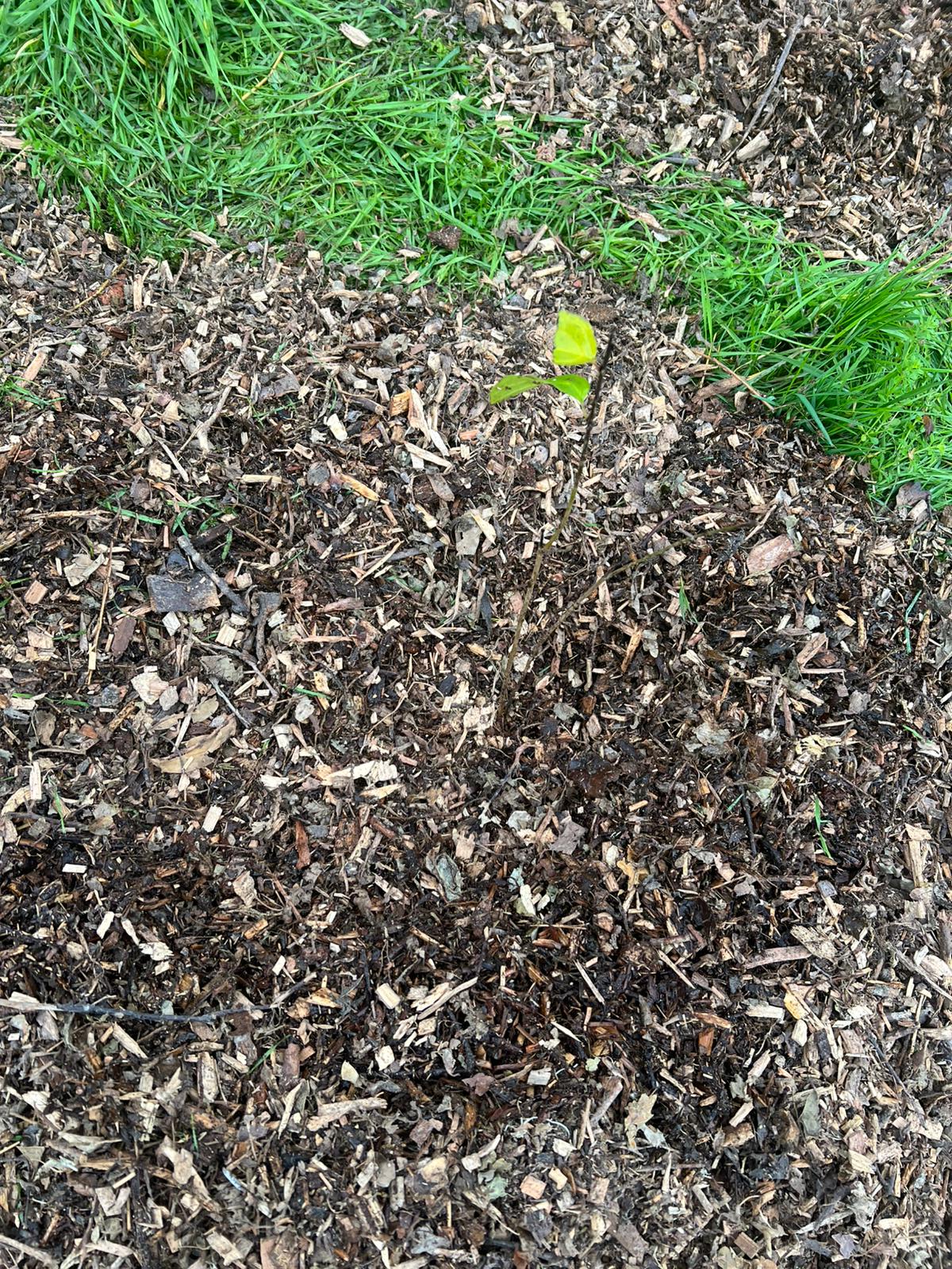 WhatsApp Image 2025-11-30 at 21.58.36.2