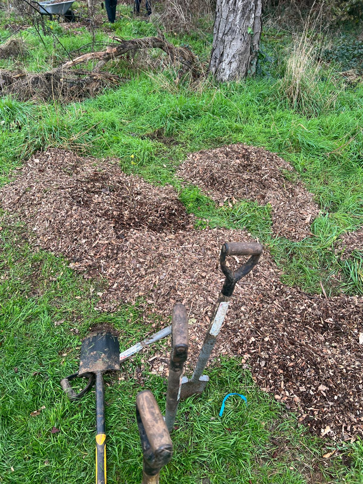 WhatsApp Image 2025-11-30 at 21.58.36