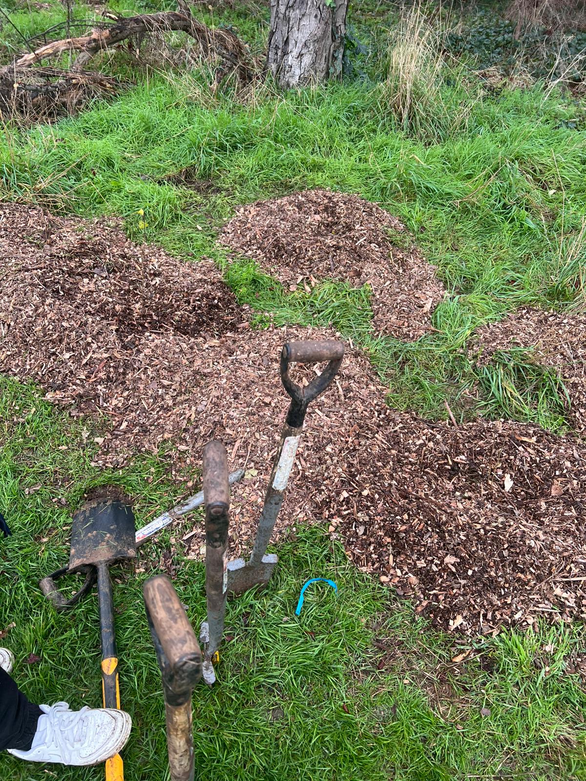 WhatsApp Image 2025-11-30 at 22.04.40.2